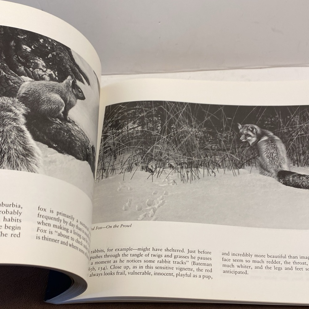 Portraits of nature paintings by Robert Bateman book - Picture 4 of 13